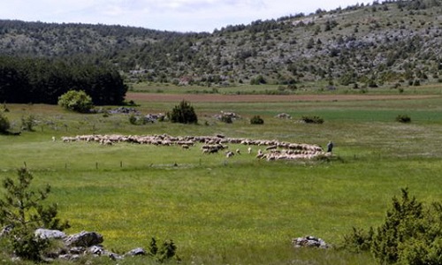 Pour simplifier, unifier et zoner la gestion des espaces naturels protégés