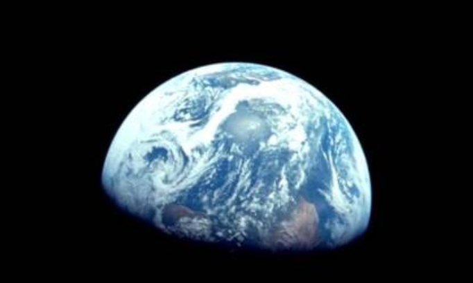 Arrêtons l'écocide !