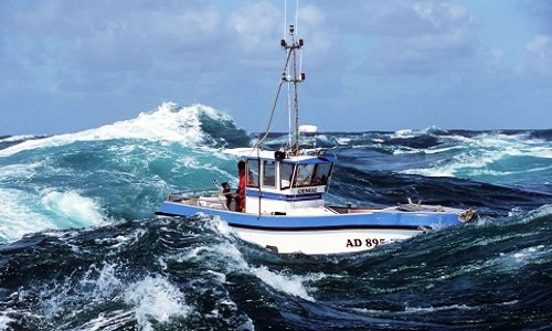 Sauvons le bar en Méditerranée