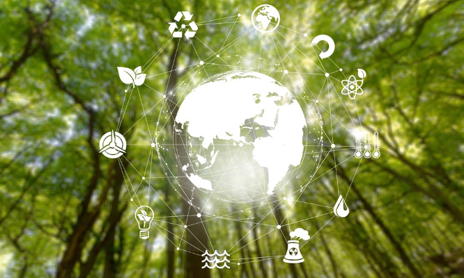 Protégeons notre environnement !