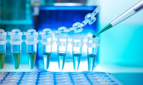 Pour la reconnaissance de paternité