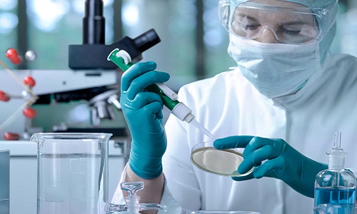 Lettre ouverte des étudiants de Licence de Sciences du Vivant