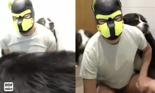 Dogsitter zoophile qui agresse les chiens dont il a la garde : stoppons-le !