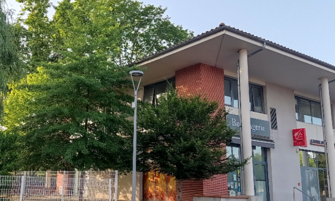 NON à l'abattage des 3 érables de la Boulangerie 