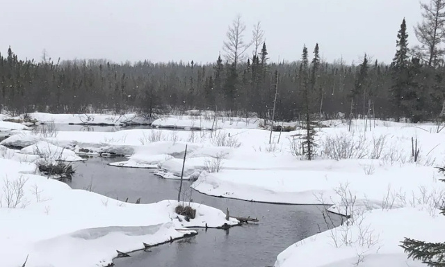 Mobilisons nous contre la construction de mines sur les lacs Esker en Abitibi:  l'eau la plus pure du monde et un écosystème unique.