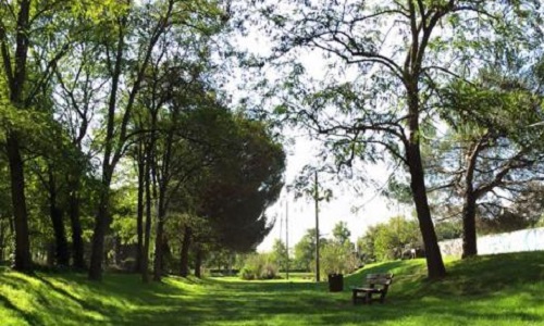 Sauvons le parc Robespierre de Bagneux 92