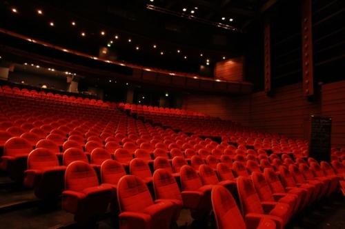 Le renouvellement de l'actuelle direction de la MCNN