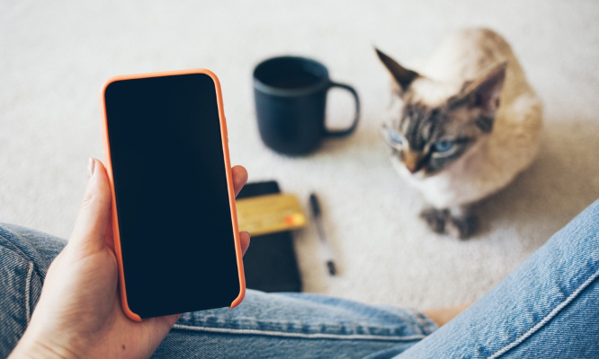 Stop aux dons d'animaux gratuits sur les réseaux, oui au respect de la loi !