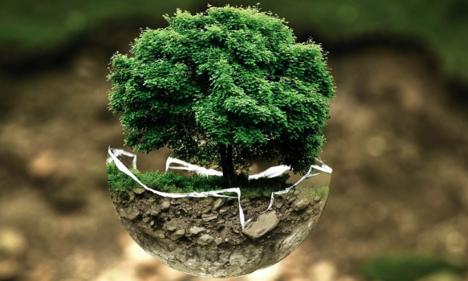 9 actions concrètes pour la protection de notre Environnement.