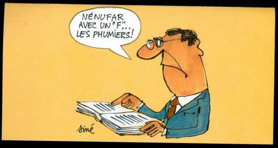 Les Francophones de l'étranger se mobilisent contre la réforme de l'ortograf