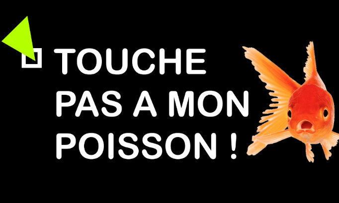 Touche pas à mon poisson