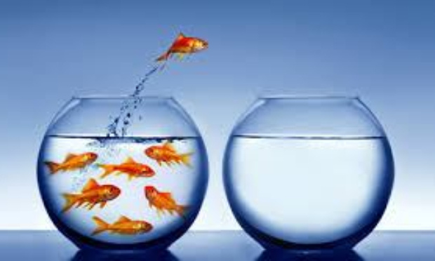 METTONS UN POINT FINAL AU CHOMAGE !