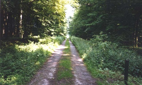 Non à l'augmentation des tarifs de collectes des ordures ménagères de la Communauté de Commune du Pays de Mormal !