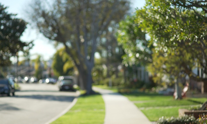Non à l'abattage des 2 marronniers de la Rue du Bougney (Besançon)