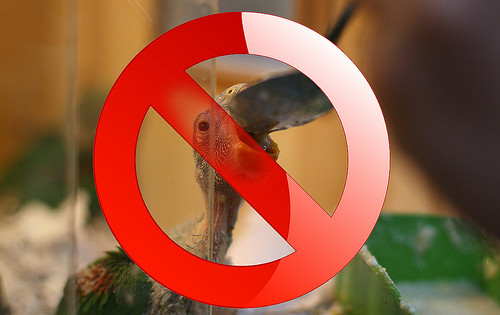 Interdiction de l'EAM