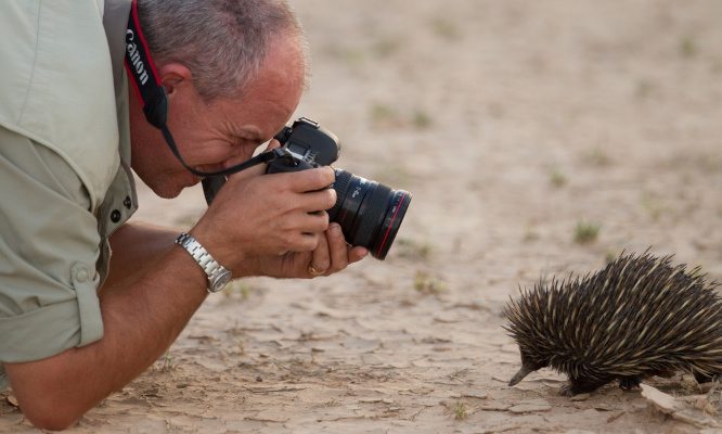 Photographie animalières : Stop aux maltraitances animales !