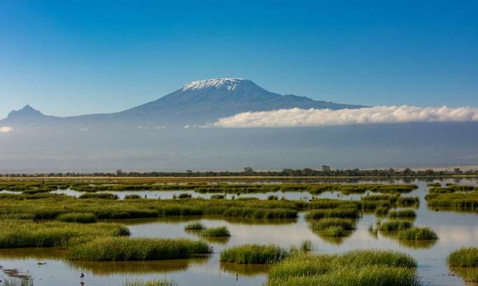 Engageons-nous à mettre la nature au cœur de l’#ActionClimatique