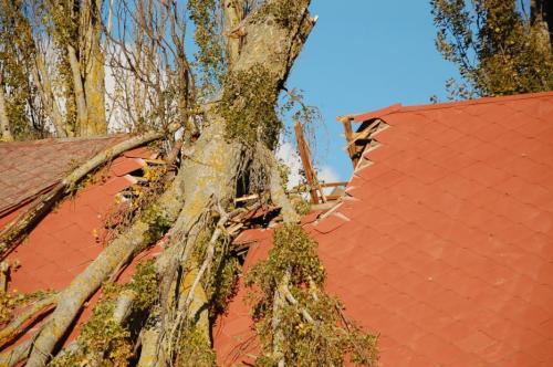 Droit au soleil, à la lumière et à la sécurité pour tous !