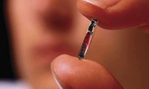 Contre le puçage obligatoire de nos animaux de compagnie !