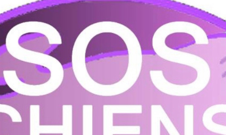 Pour le respect du voisinage et du bien être du chien