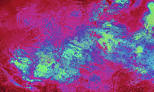 Un manifeste européen pour une approche objective du 