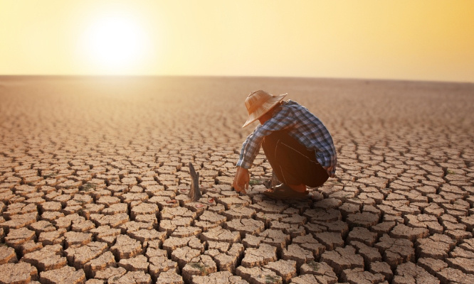 Urgence environnementale : pour une consommation durable des ressources sauvages !