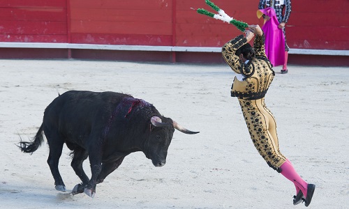 Demandez des enquêtes approfondies sur les cruautés commises avant les corridas !