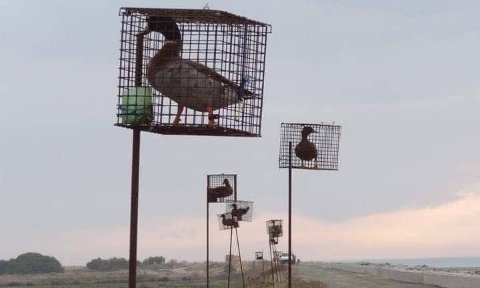 STOP à la chasse aux appelants !