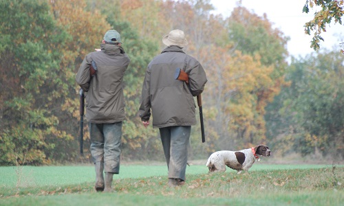 Oui à la chasse le dimanche