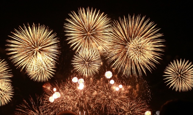 Pour la suppression définitive des feux d'artifice le 14 juillet et de tous les spectacles pyrotechniques