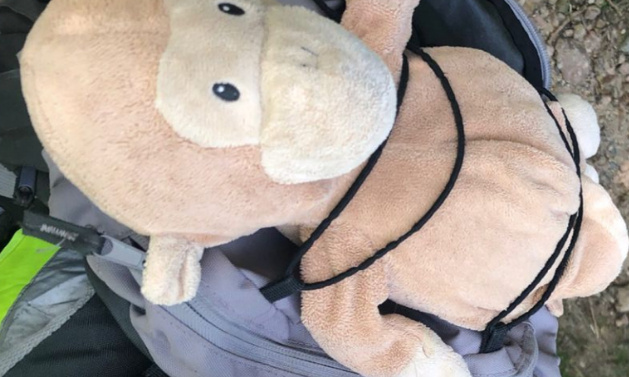 Sauvez marcus le singe de sa prise d'otage