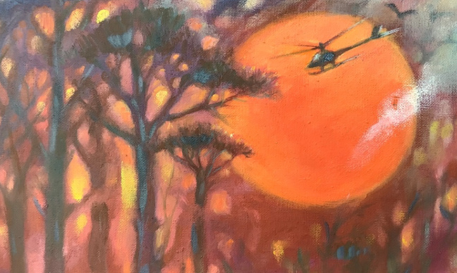 Incendies : animaux victimes aussi !