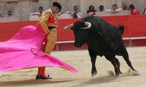 Pour l'arrêt des corridas !