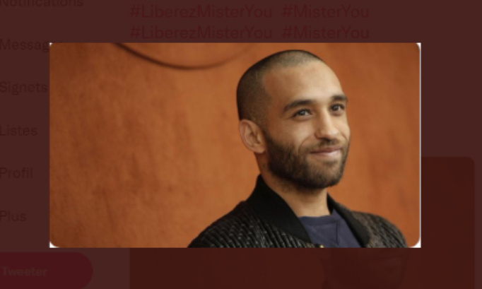 Libérez Mister You !