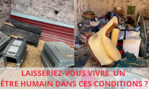 JUSTICE POUR CES ANIMAUX, ABANDONNÉS PAR LEUR PROPRIÉTAIRE PARTI EN VACANCES