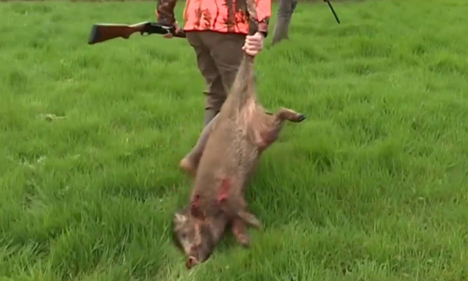 Conditions climatiques : interdisons la chasse lors de ces fortes chaleurs !