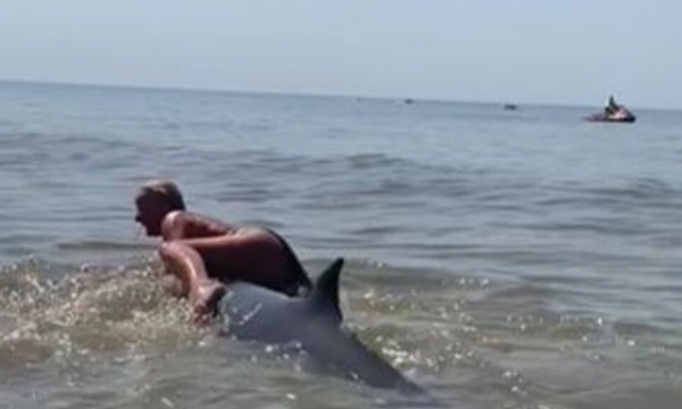 Justice pour la baleine en détresse chevauchée par une touriste !