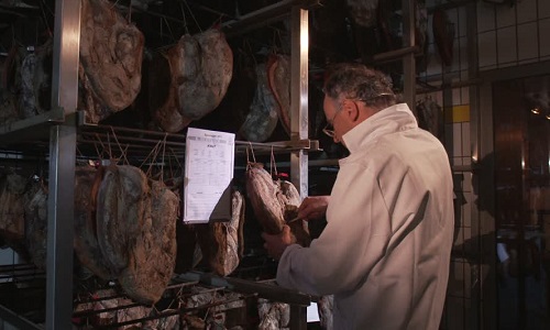 Un contrôle régulier dans tous les abattoirs de France pour lutter contre la maltraitance animale et les conditions de mise à mort !
