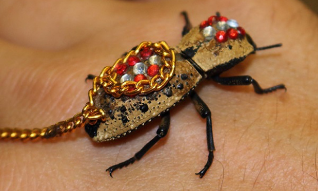 Stop au commerce de bijoux vivants !