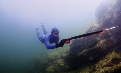Pour le maintien de la pêche au doré au moyen d'un harpon
