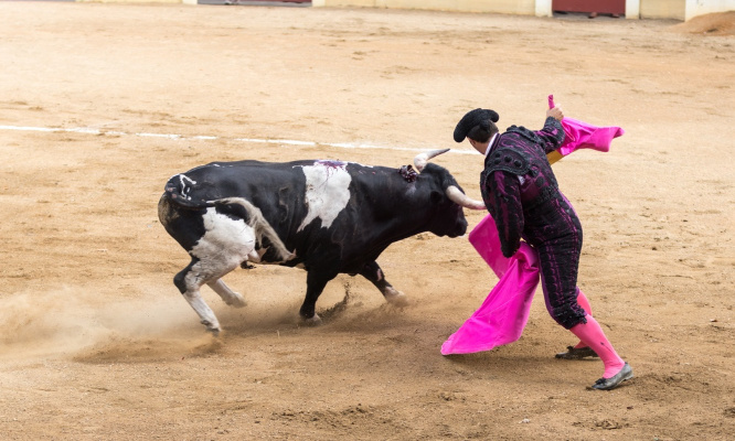 Pour que la corrida soit illégale en France, la tradition est un faux prétexte !