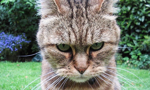 Une condamnation sévère