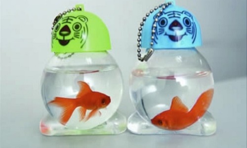 L'arrêt totale de cette maltraitance !