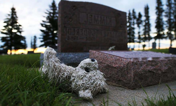 Décès d’un enfant : l’Etat doit intervenir pour mieux protéger les familles face aux sociétés de pompes funèbres