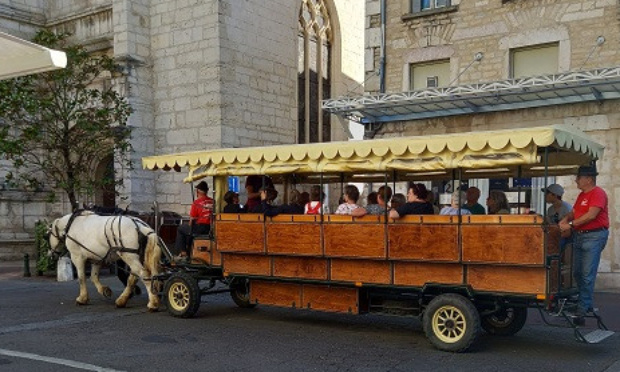 STOP aux calèches tirées par des chevaux à Bourg-en-Bresse !
