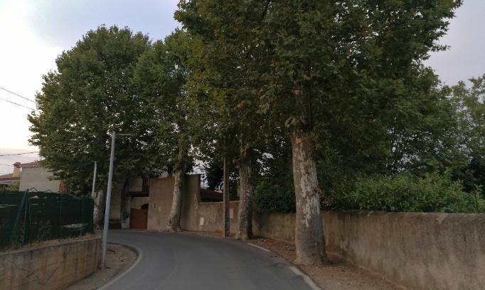 Urgent : Non à l'abattage des arbres centenaires à Cers