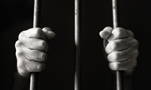 Des condamnations pour les responsables des abattoirs !