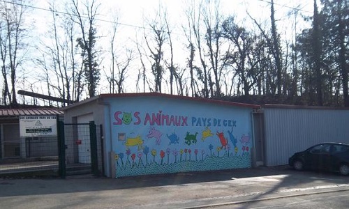 Changement de Présidente SOS Animaux Cessy