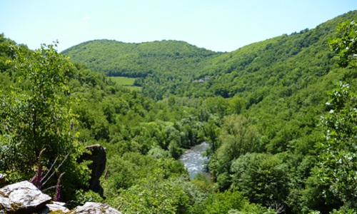 Pour le maintien des classes de découverte en grande section de maternelle !