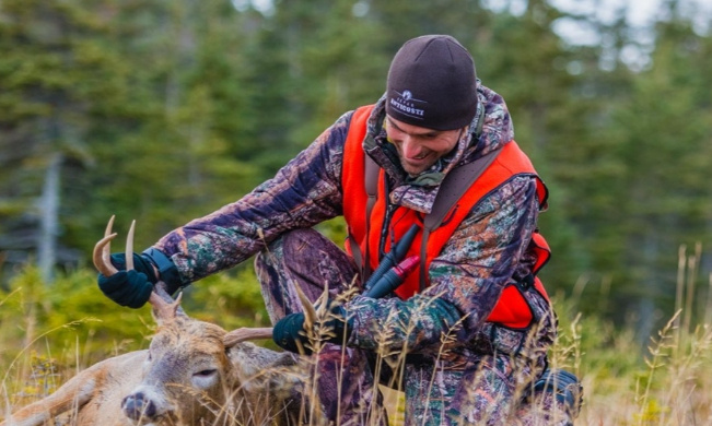 Pétition contre la chasse 2022-2023 suite à la sécheresse